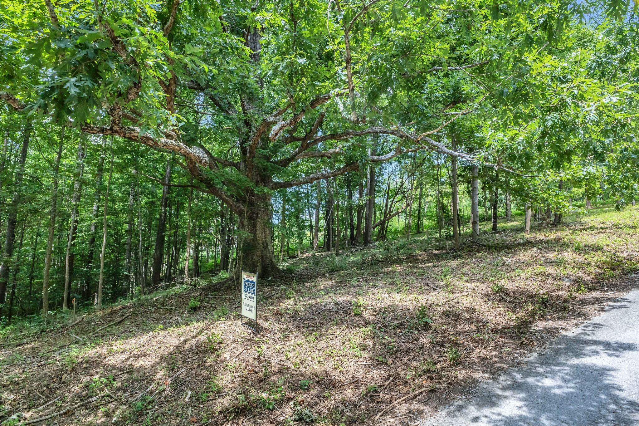 8696 Poplar Creek Rd
