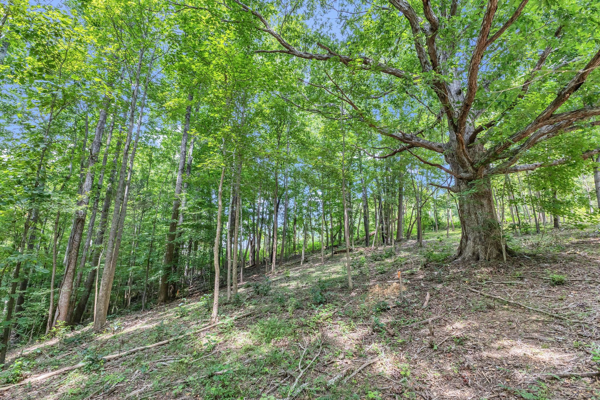 8696 Poplar Creek Rd
