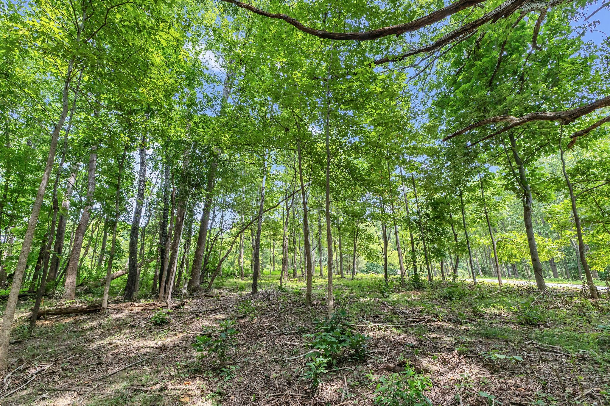 8696 Poplar Creek Rd