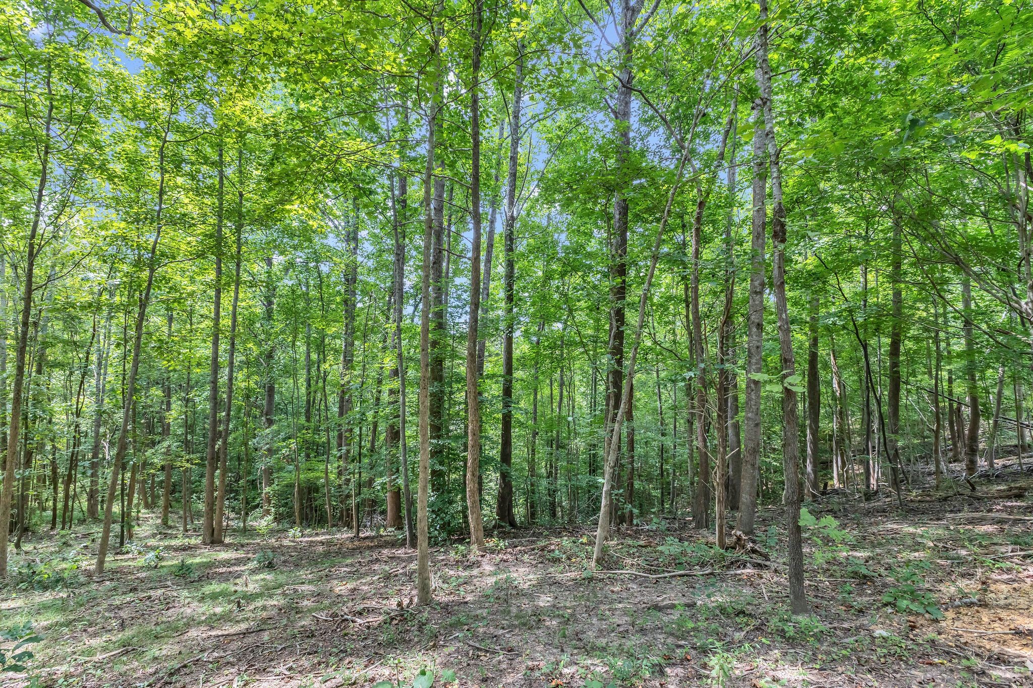 8696 Poplar Creek Rd