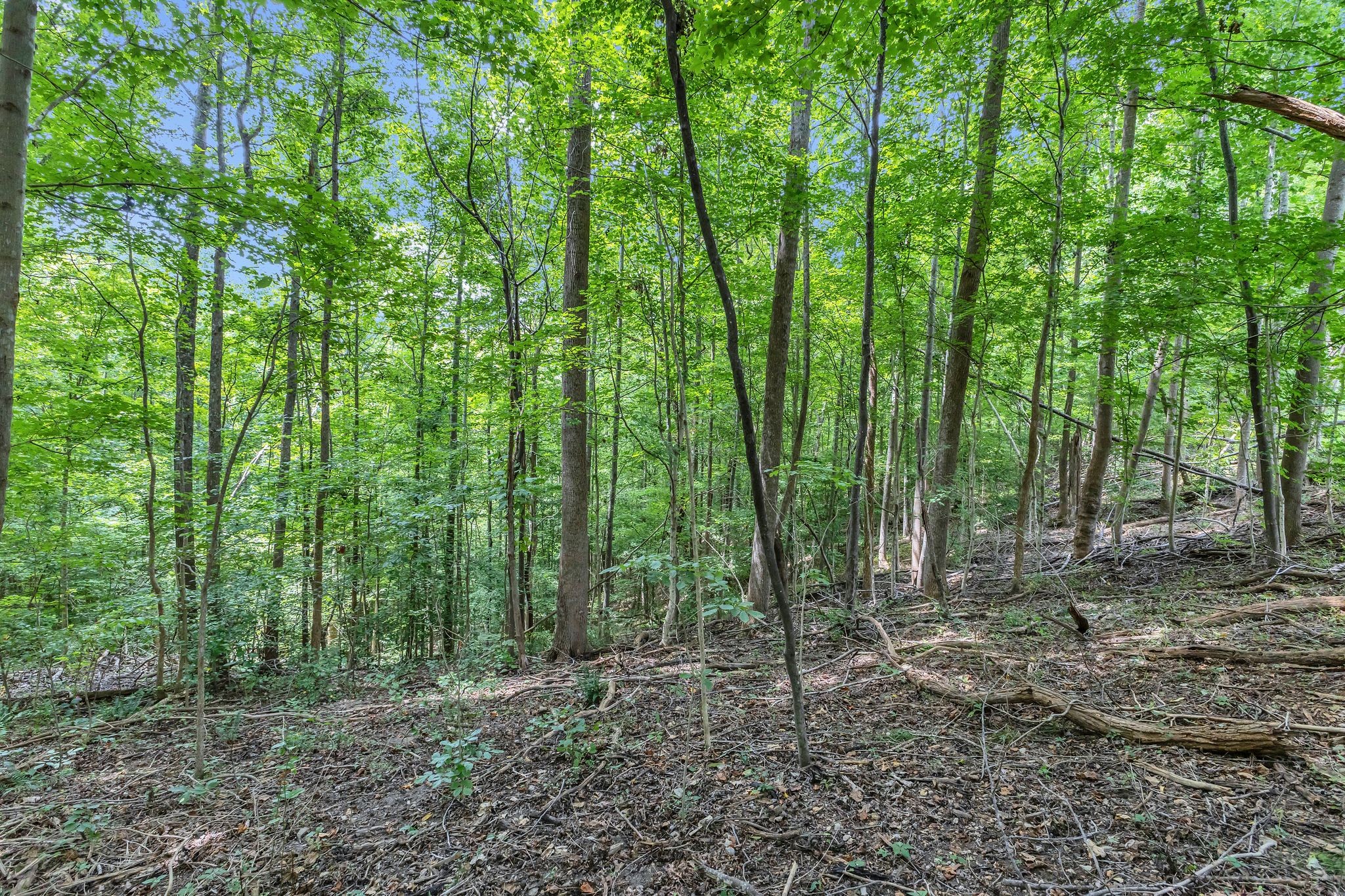 8696 Poplar Creek Rd
