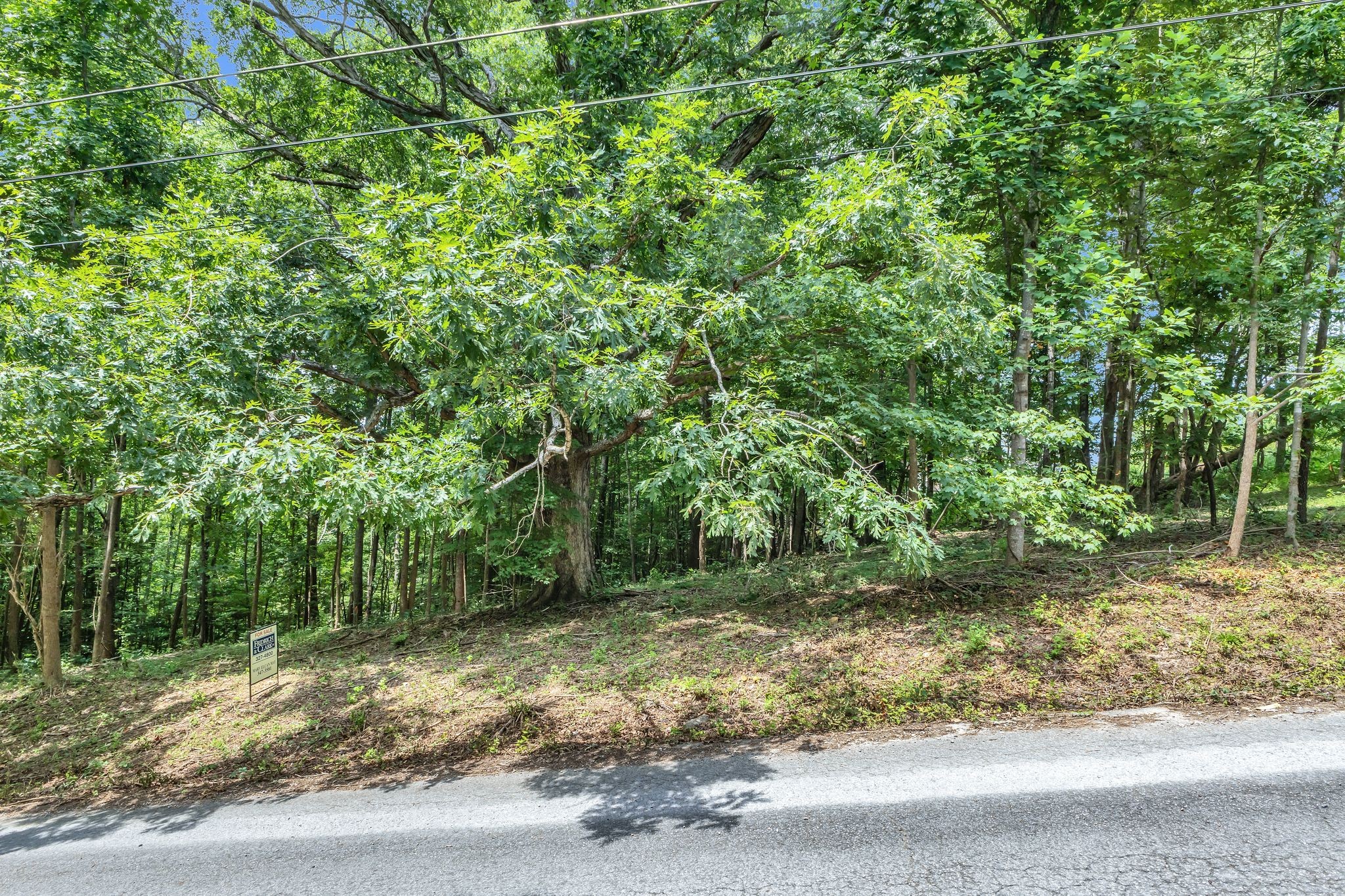 8696 Poplar Creek Rd
