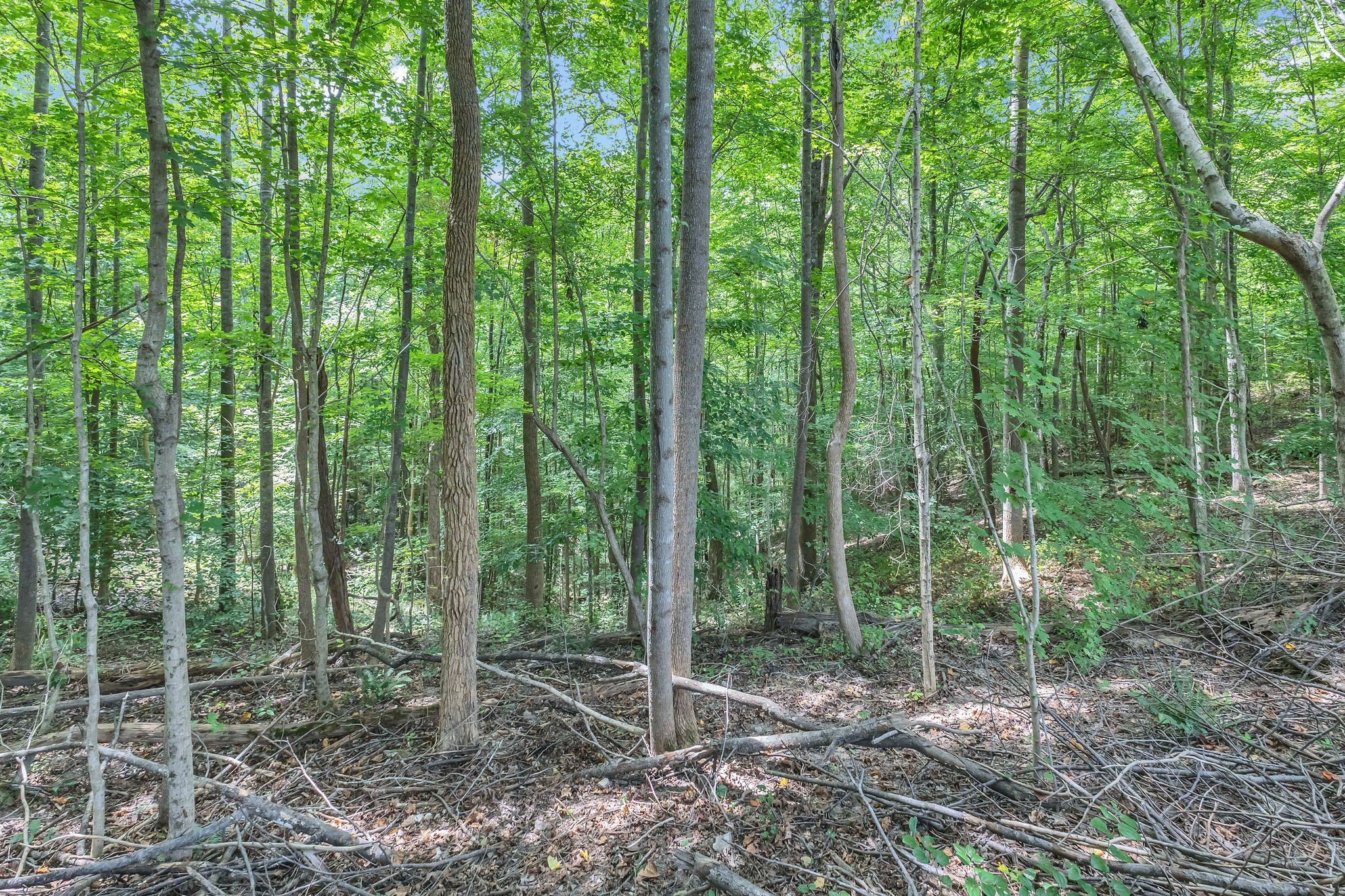 8696 Poplar Creek Rd