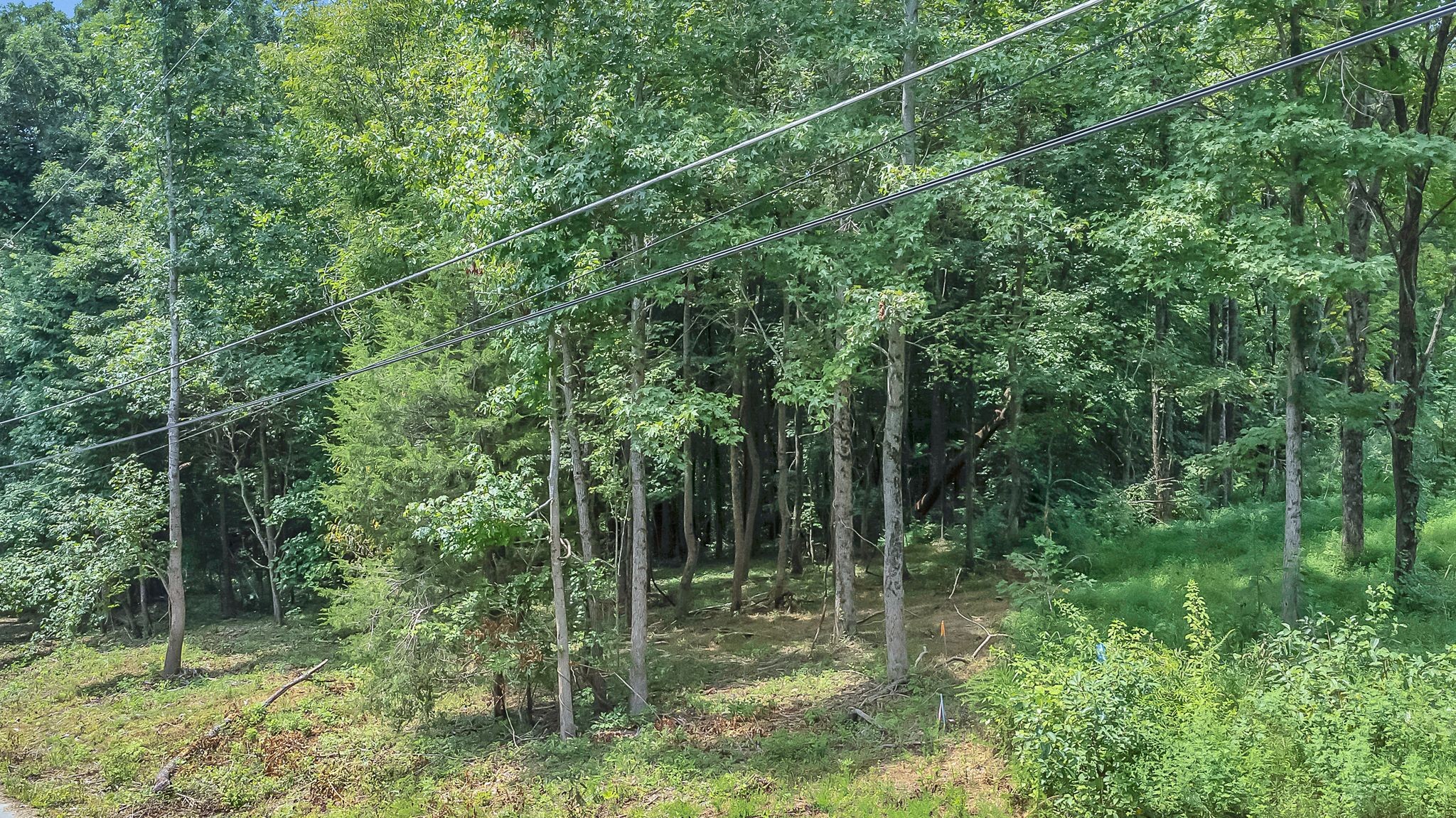 8696 Poplar Creek Rd