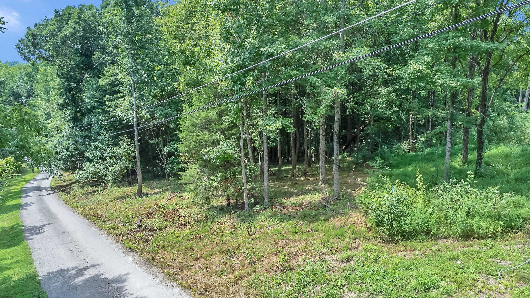 8696 Poplar Creek Rd