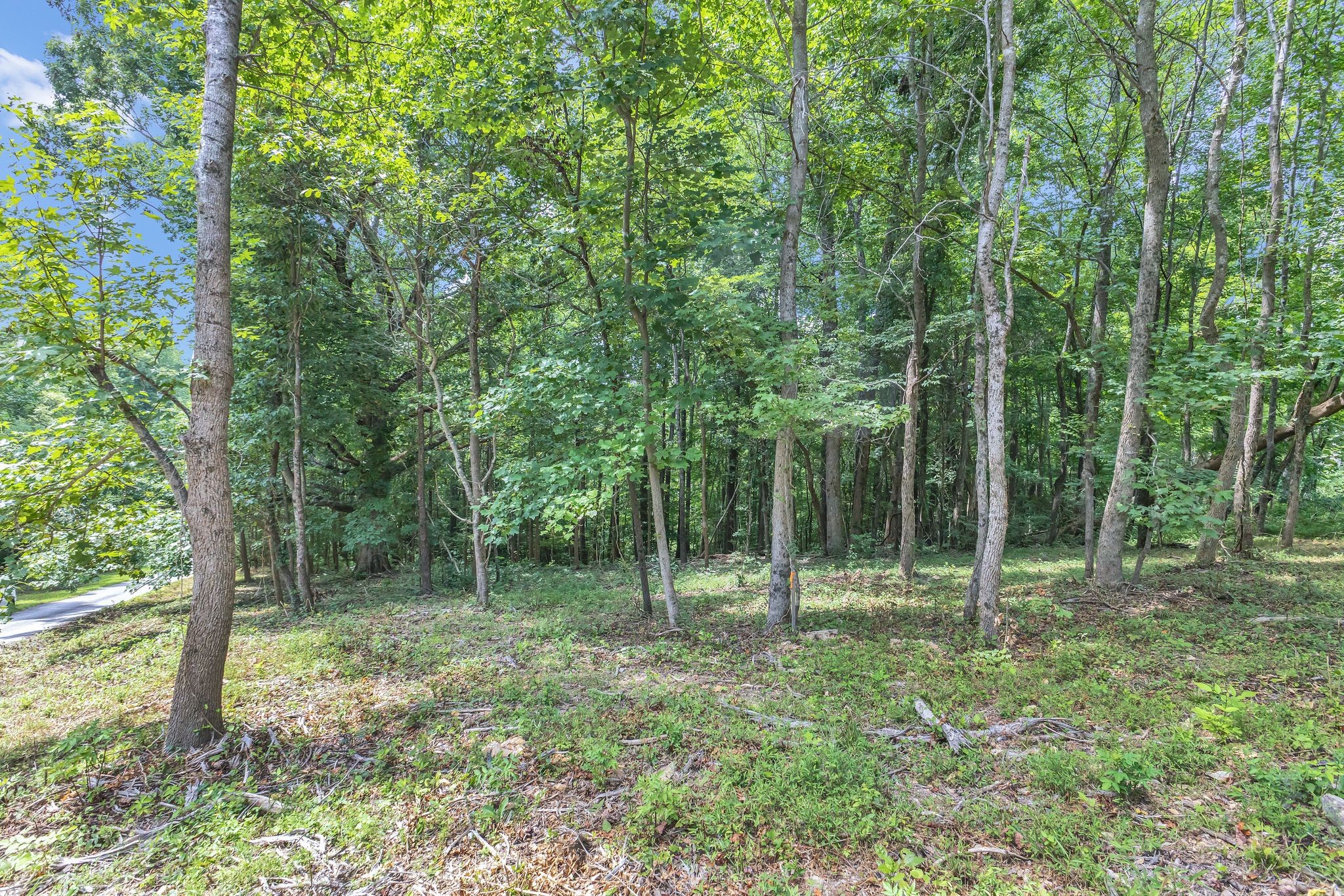 8696 Poplar Creek Rd