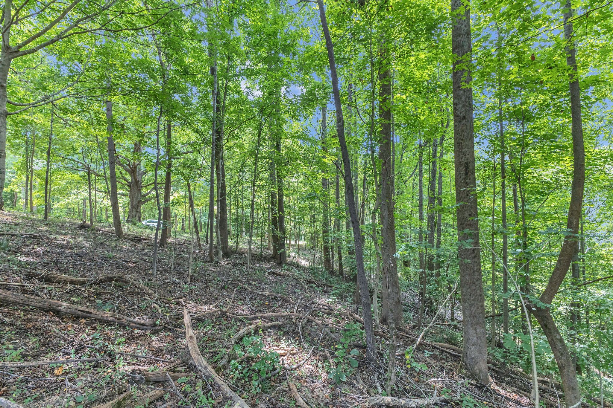 8696 Poplar Creek Rd