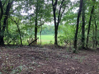 1 Boxley Valley Rd