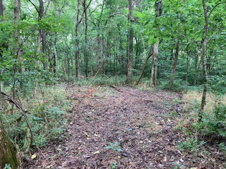 1 Boxley Valley Rd