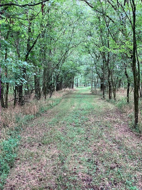 1 Boxley Valley Rd