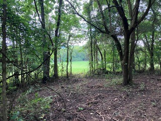 1 Boxley Valley Rd
