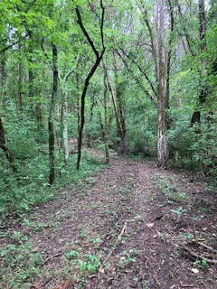1 Boxley Valley Rd