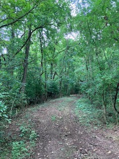 1 Boxley Valley Rd