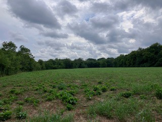 1 Boxley Valley Rd