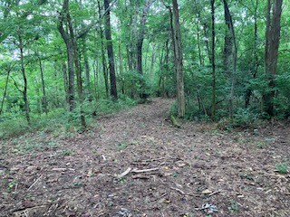 1 Boxley Valley Rd