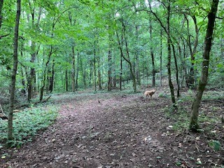 1 Boxley Valley Rd