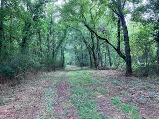 1 Boxley Valley Rd