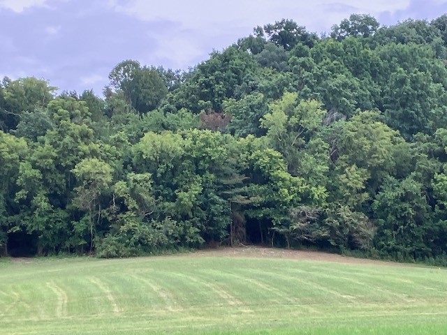 1 Boxley Valley Rd