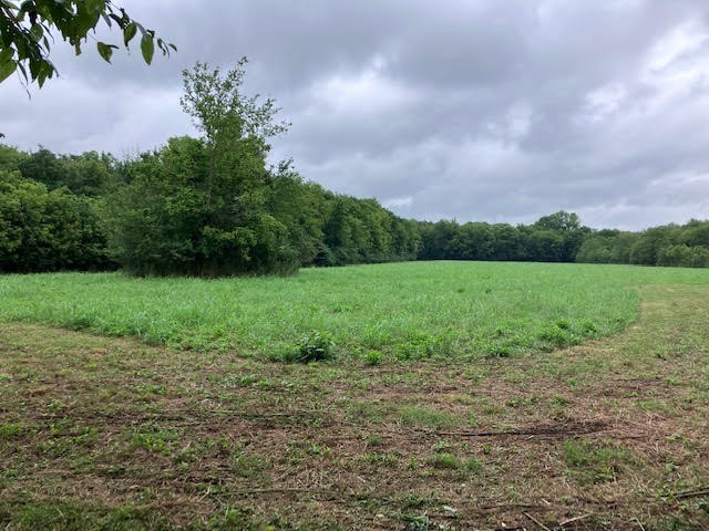 1 Boxley Valley Rd