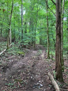 1 Boxley Valley Rd