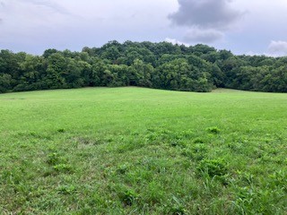 1 Boxley Valley Rd