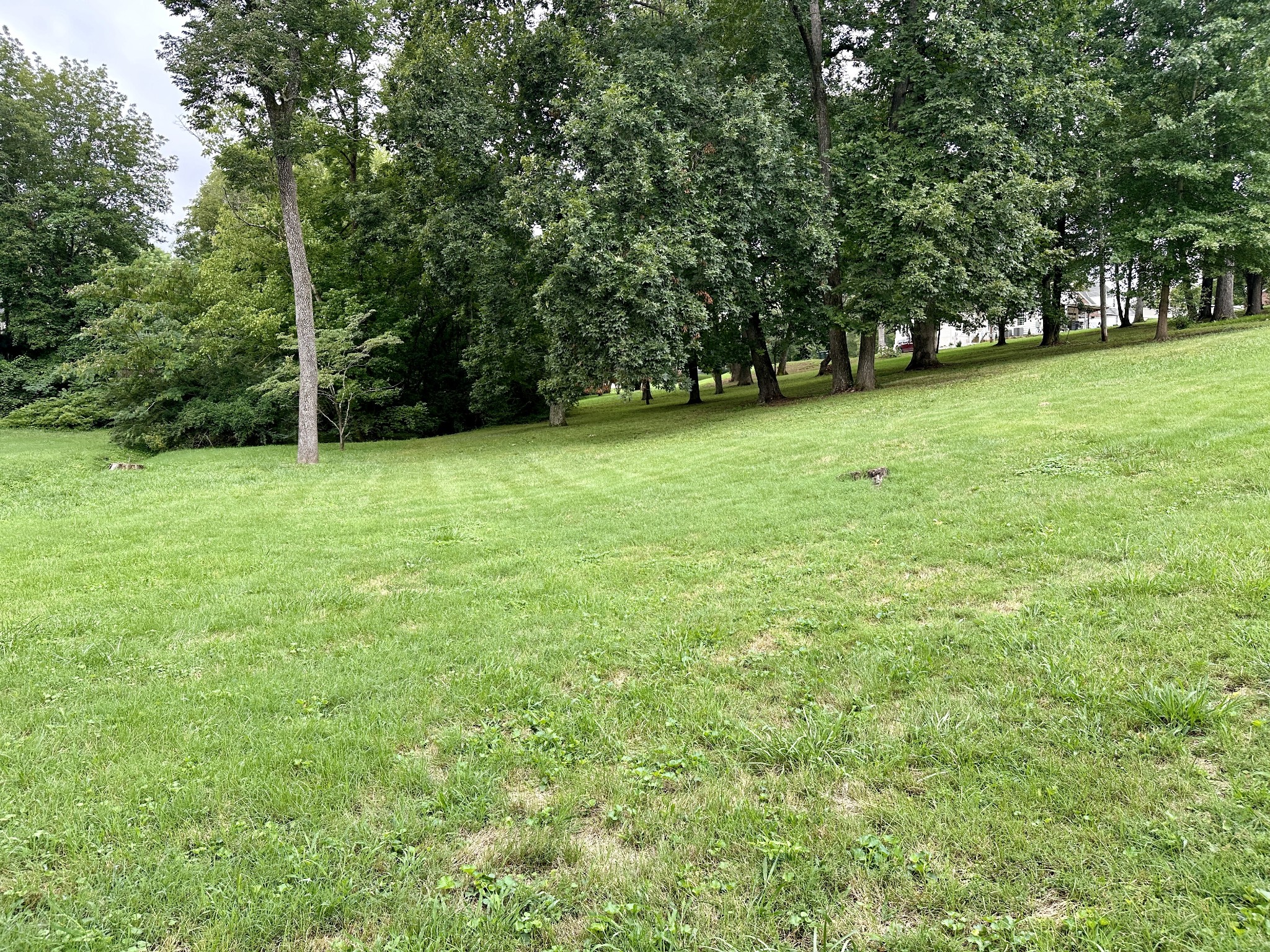 104 Oak Dr