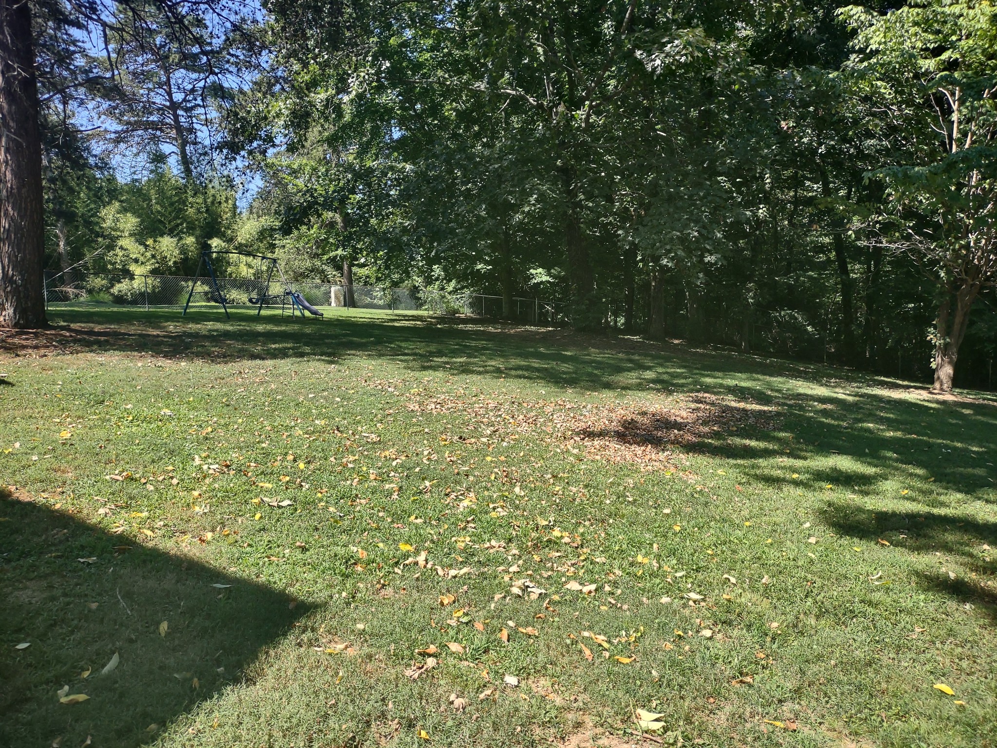 1142 Forest Crossing