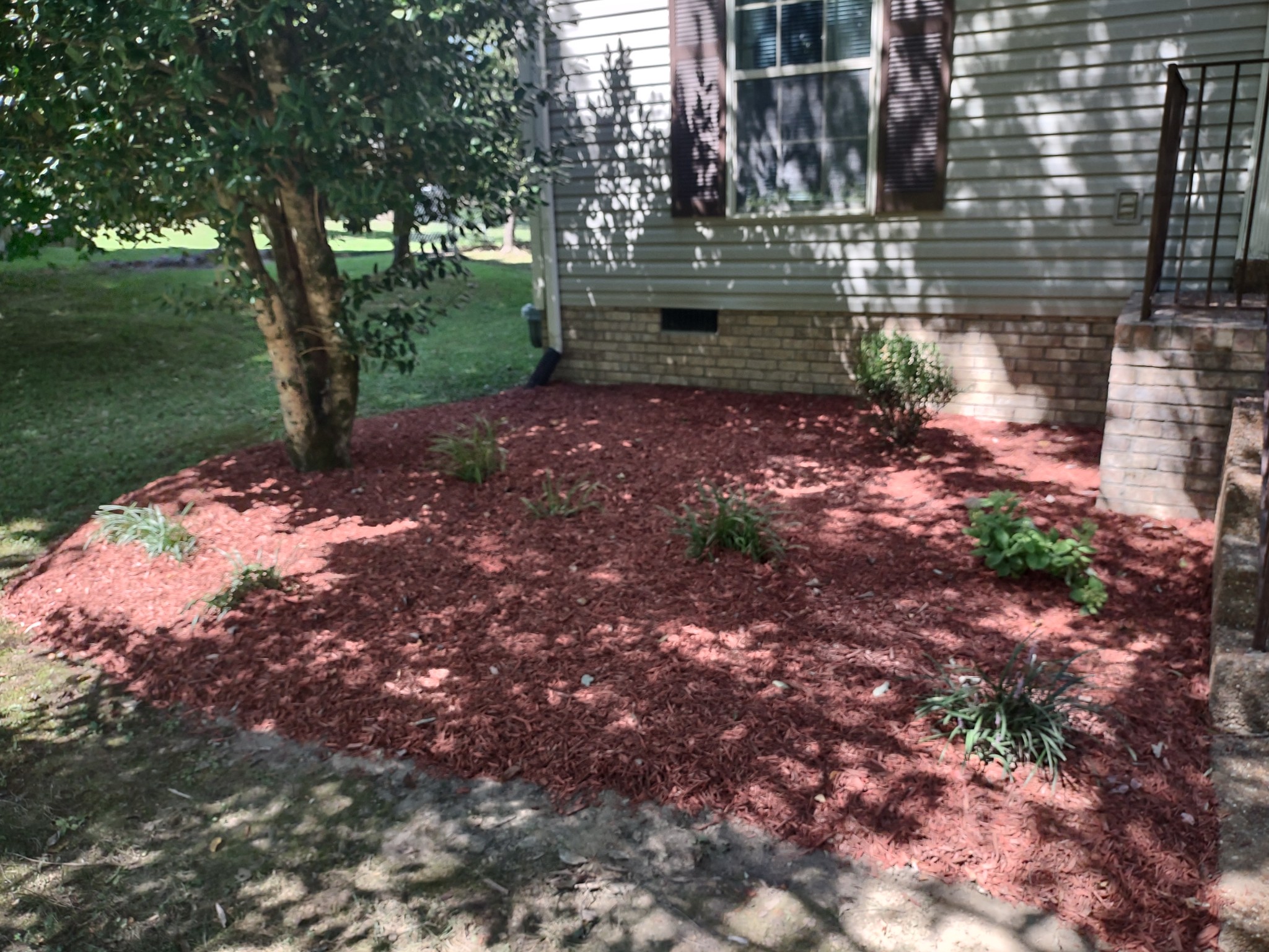 1142 Forest Crossing