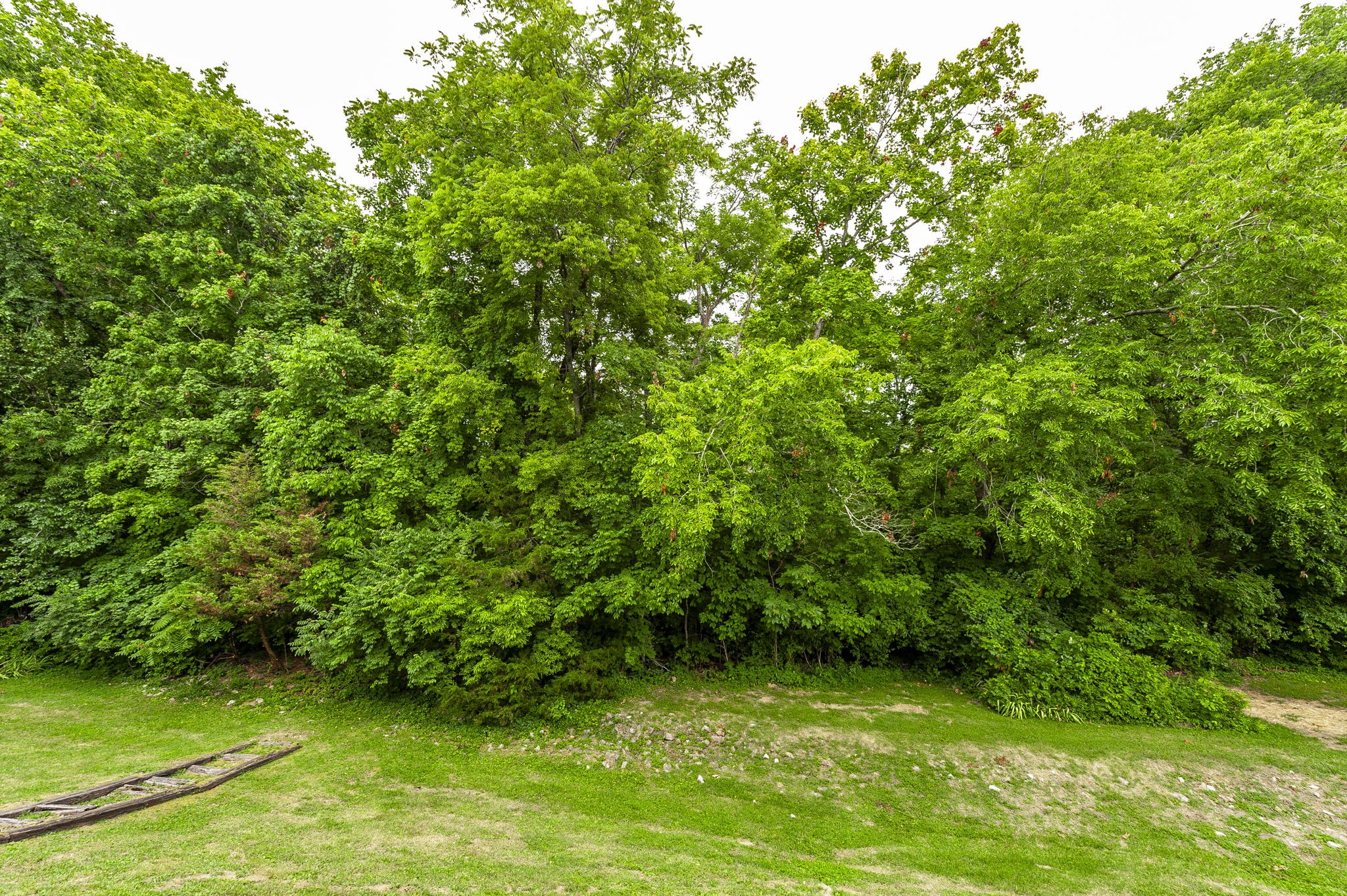 117 Morton Mill Cir