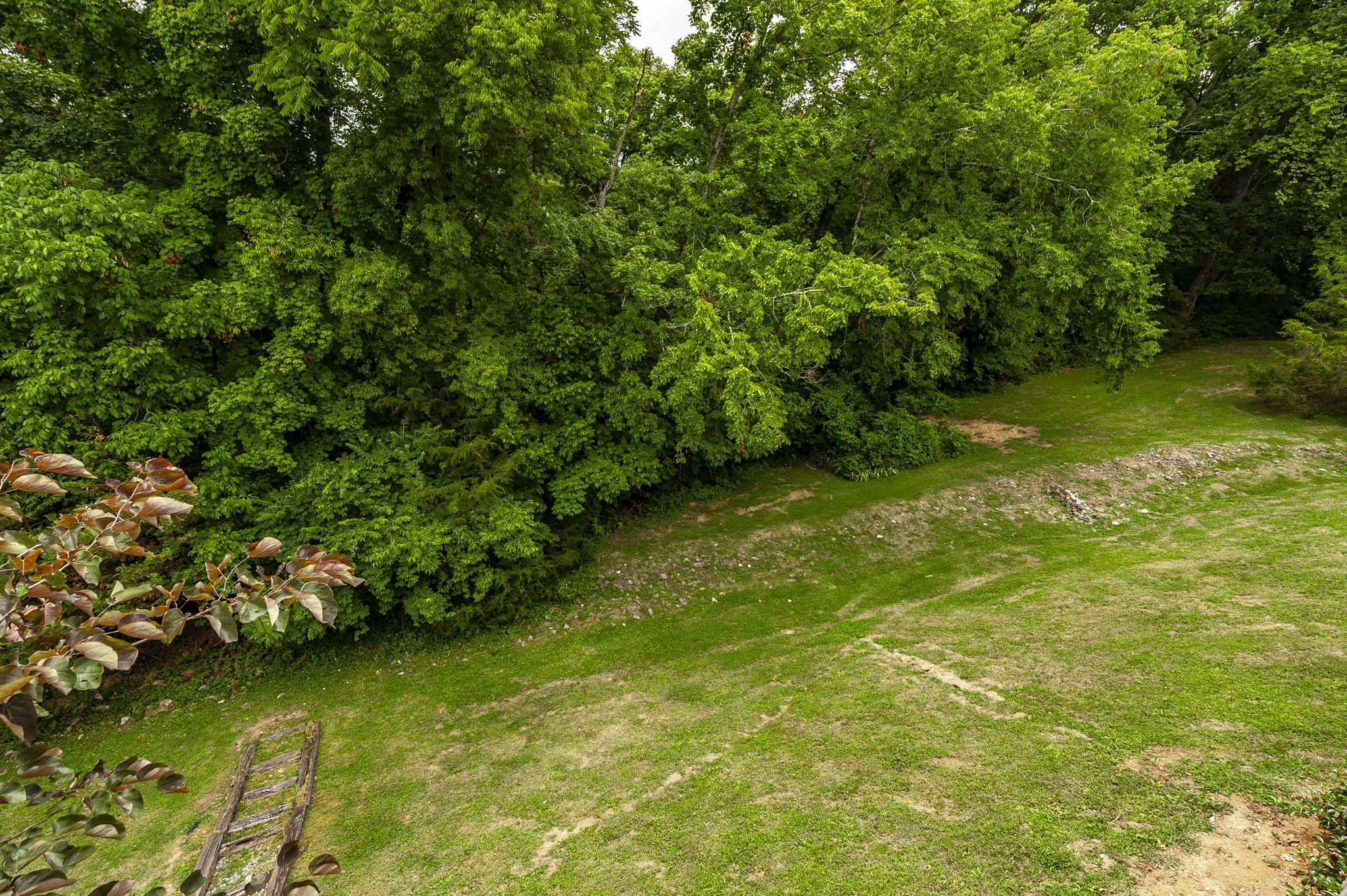 117 Morton Mill Cir