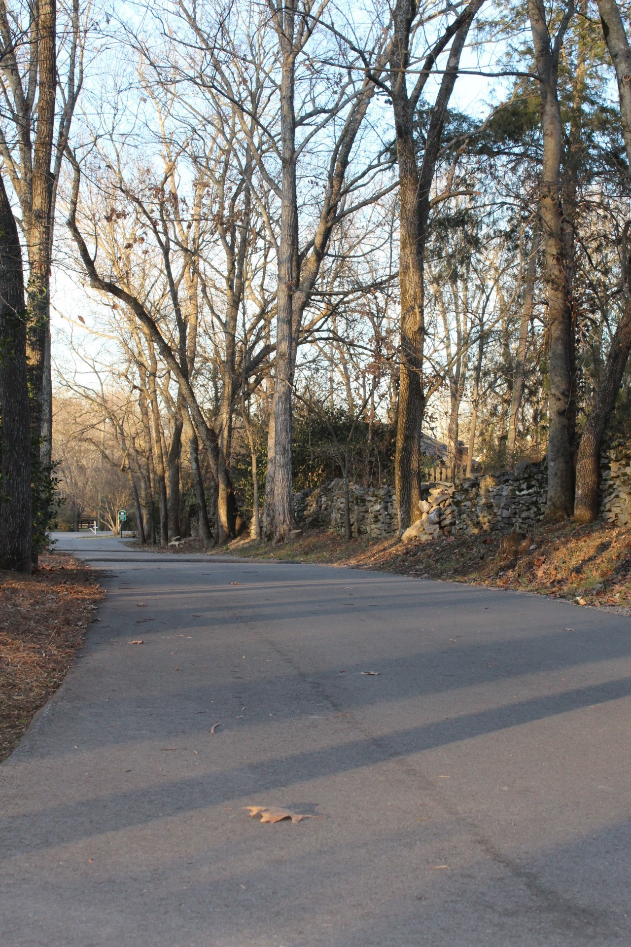 103 Kirkman Lane