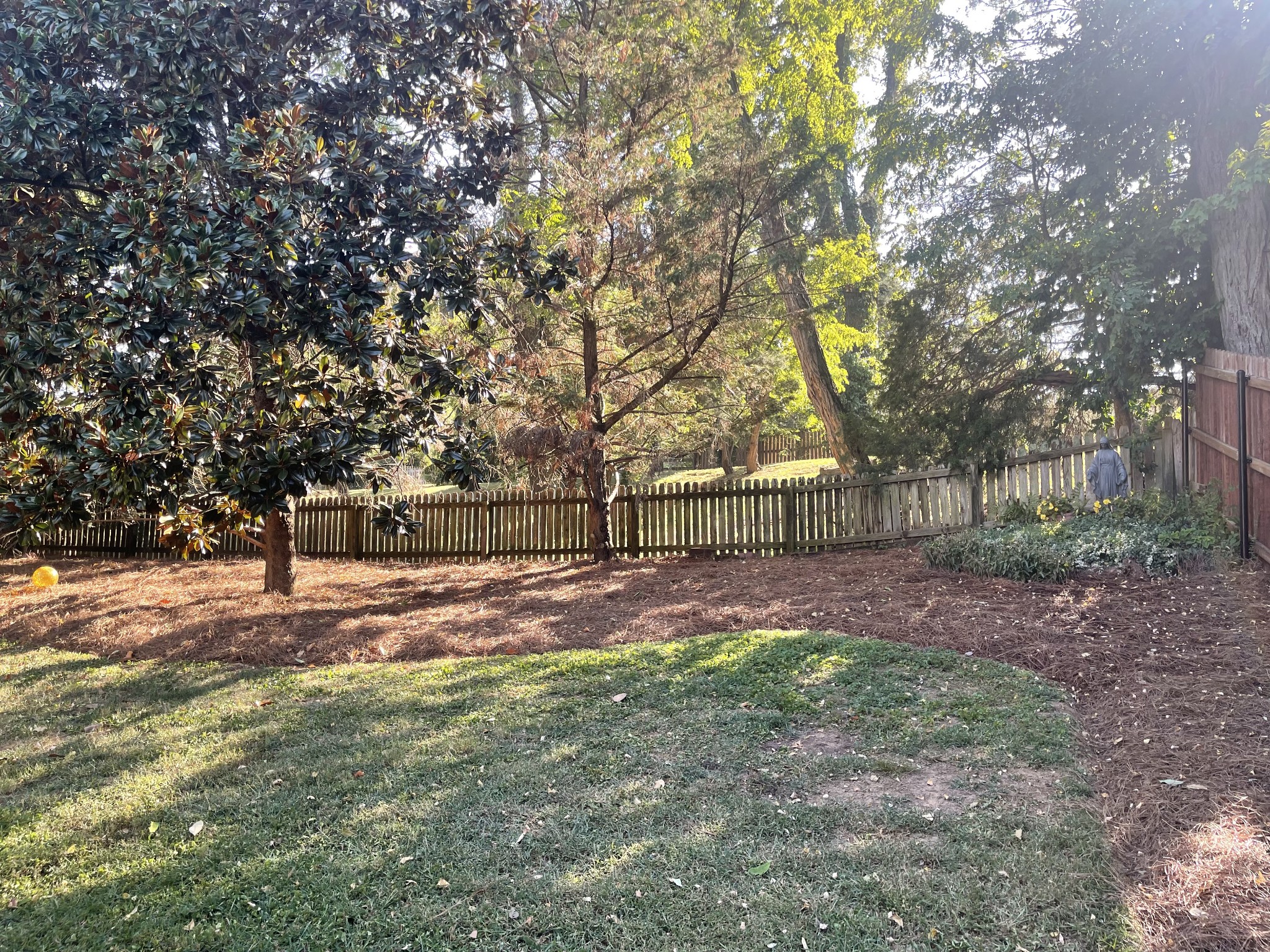 213 Herbert Ct