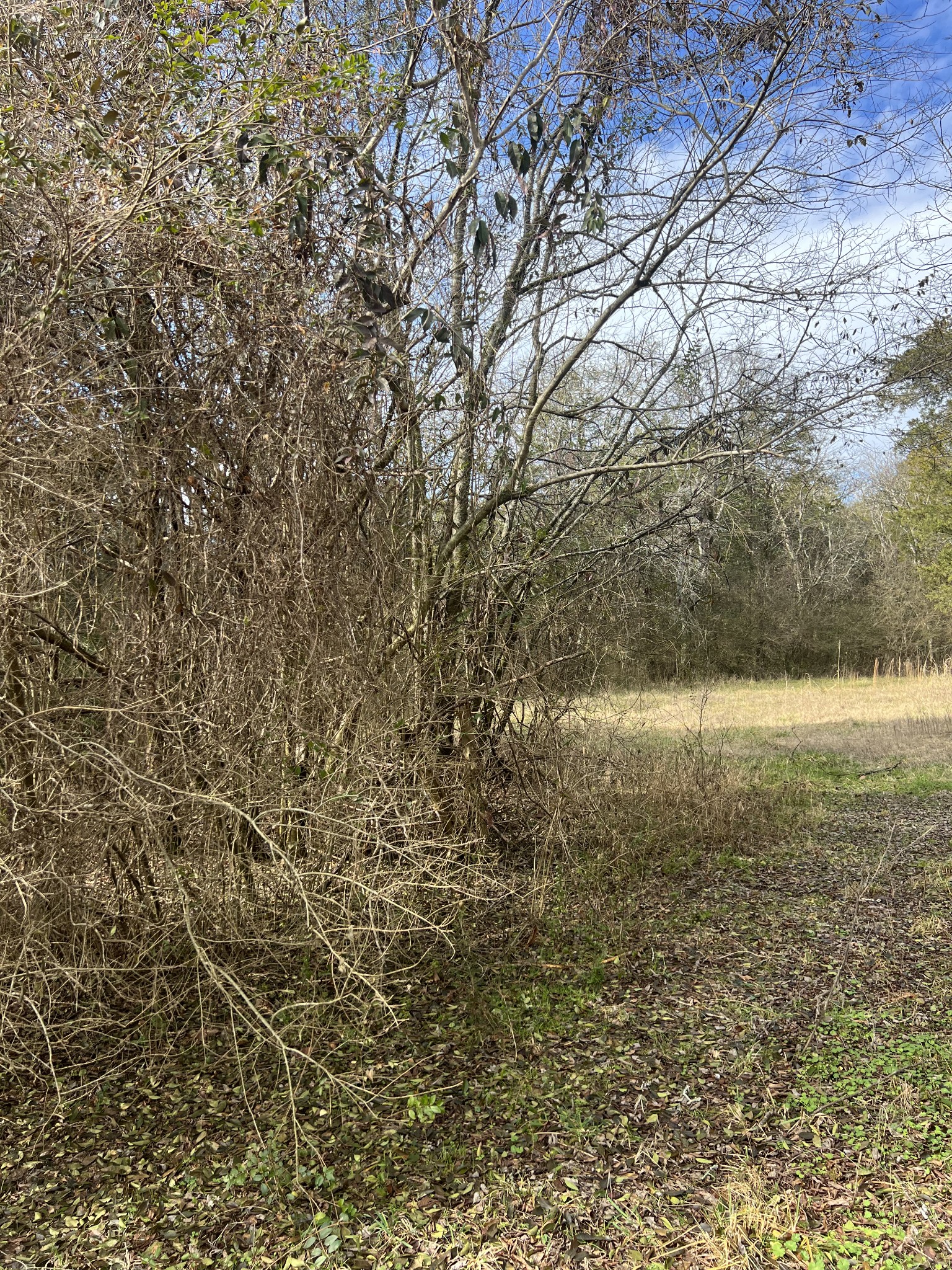 2075 Rocky Glade Rd - 1.200 Acres