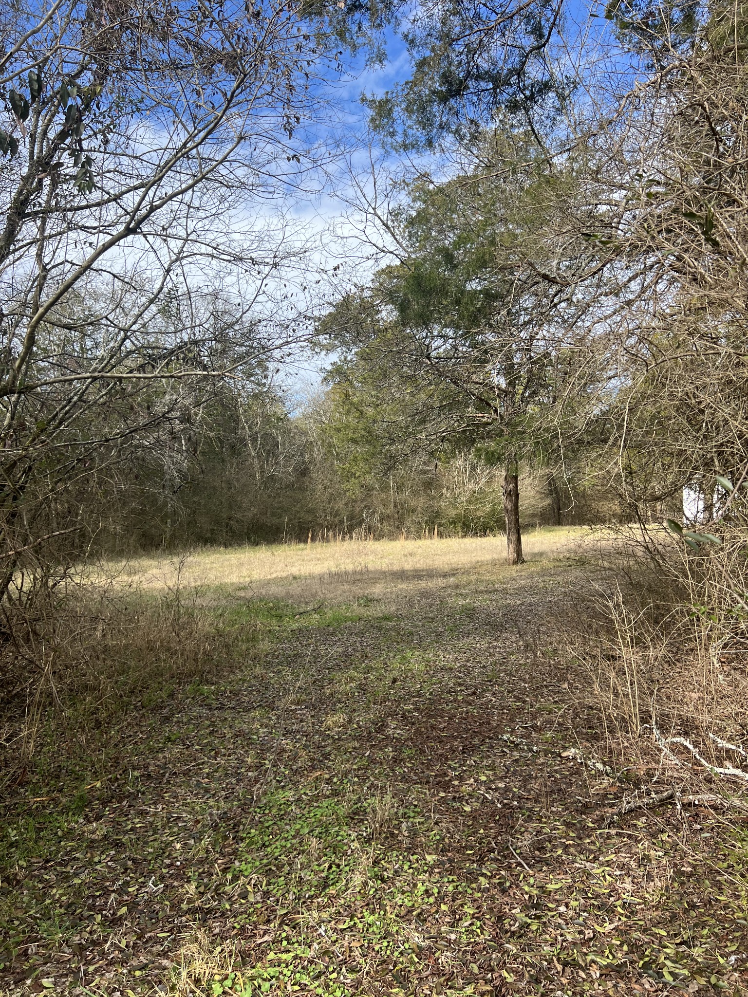 2075 Rocky Glade Rd - 1.200 Acres