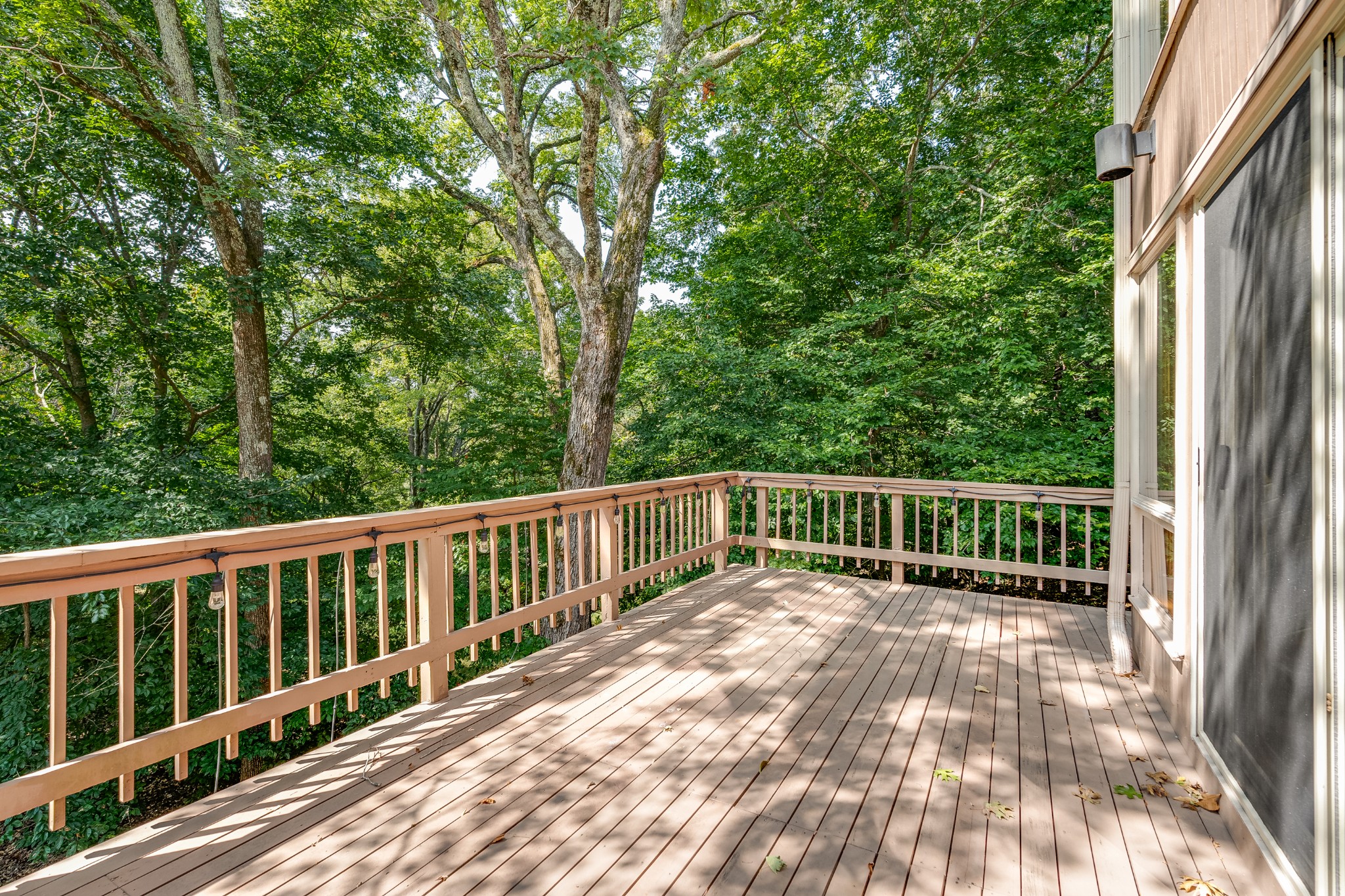 7964 Saddle Ridge Trce