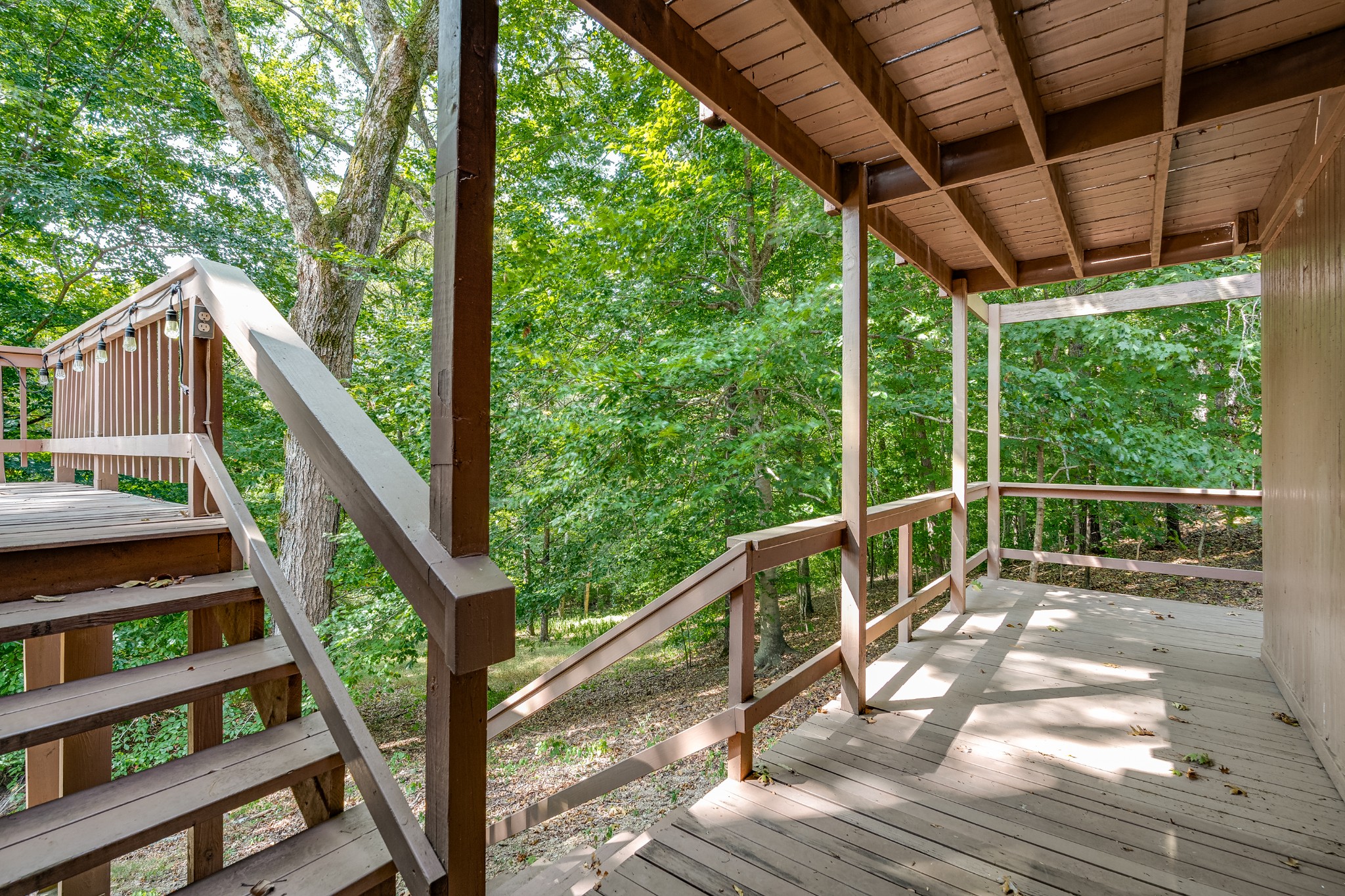 7964 Saddle Ridge Trce