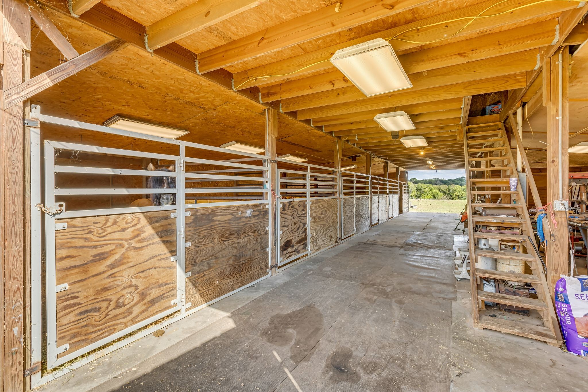 1135 Glenn Hinson Rd