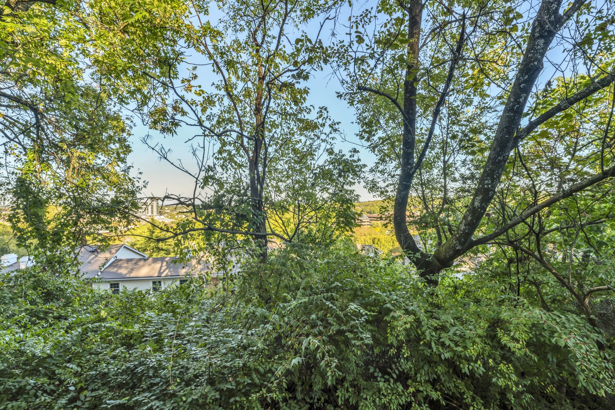 441 Summit Ridge Pl