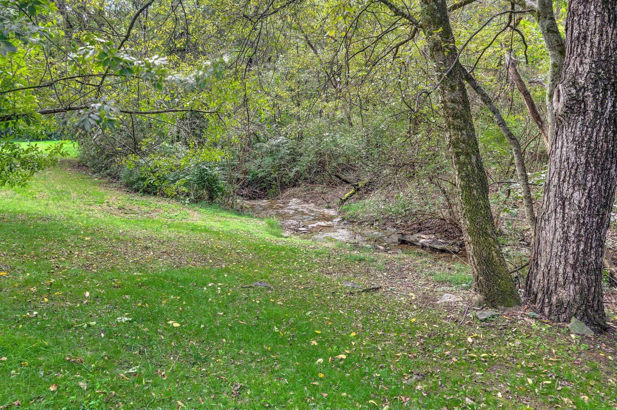 825 Pipers Ln