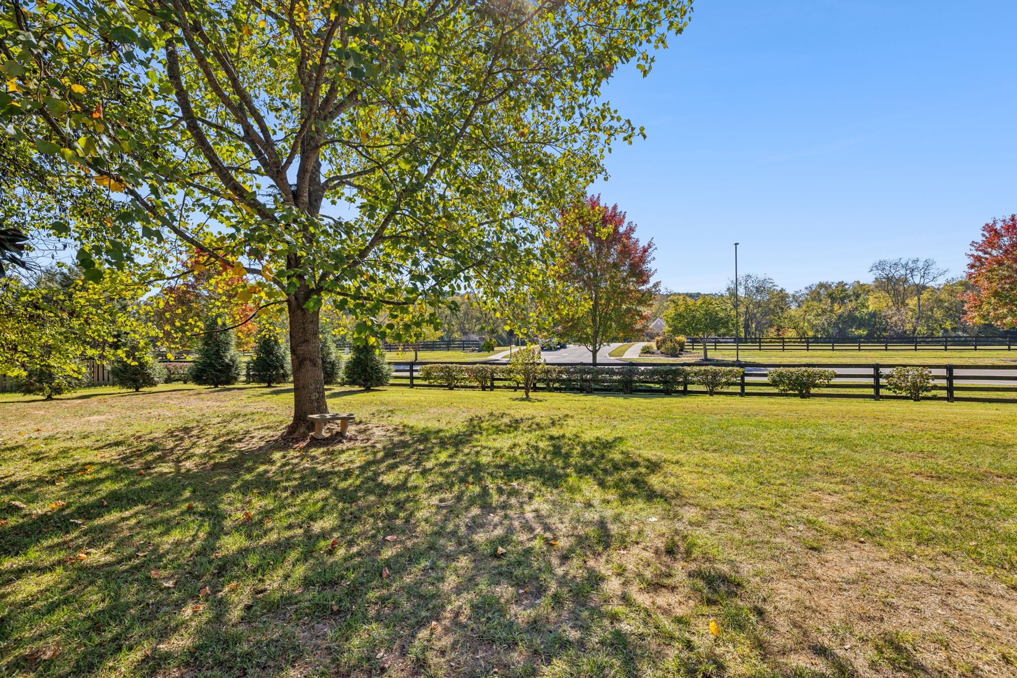234 Lighthouse Ter