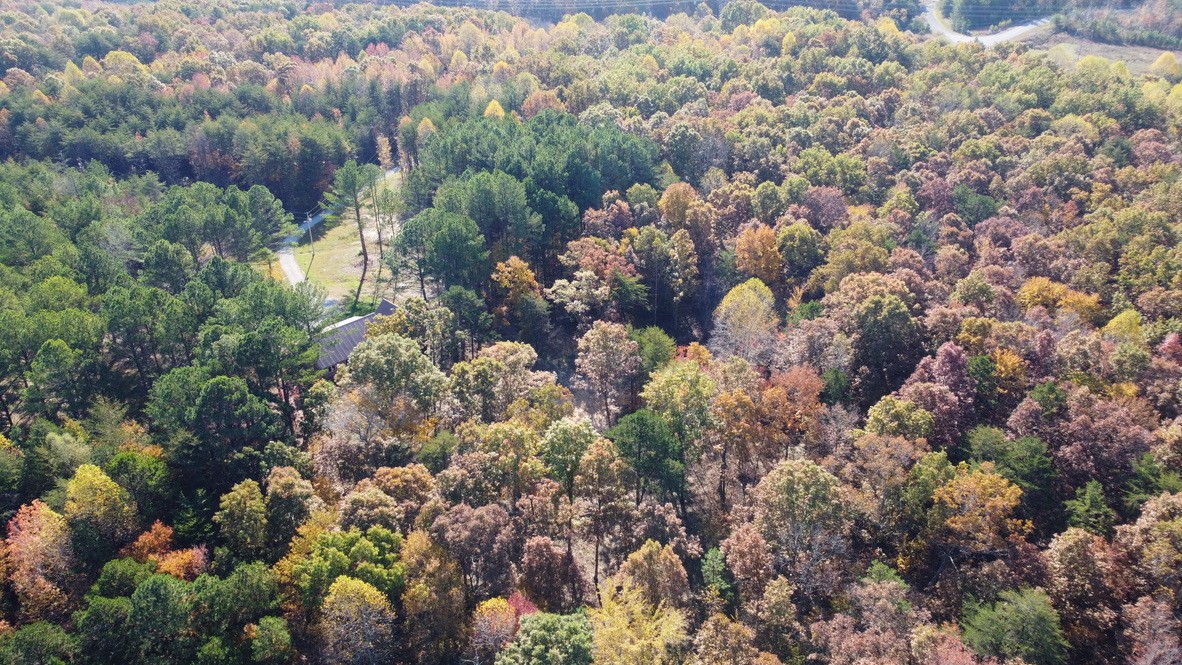 1215 Company Farm Rd