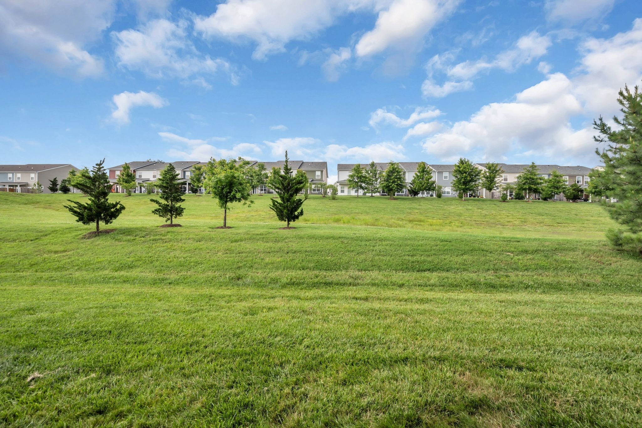 4123 Gracious Dr