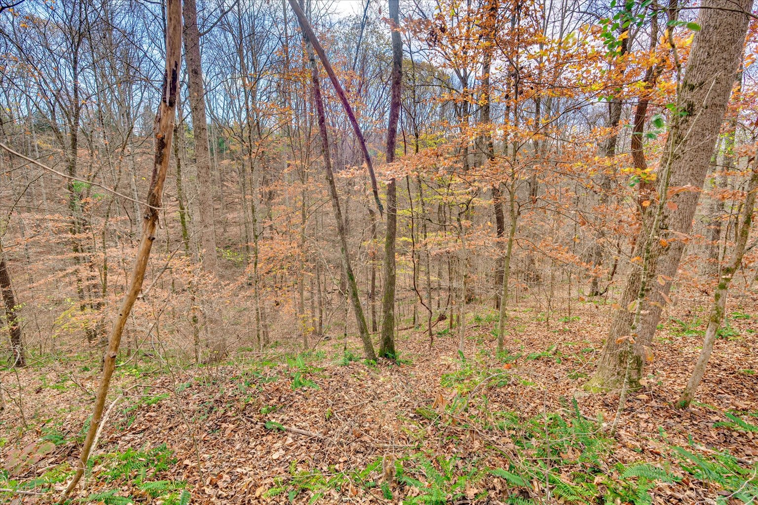 9635 Locust Creek Rd