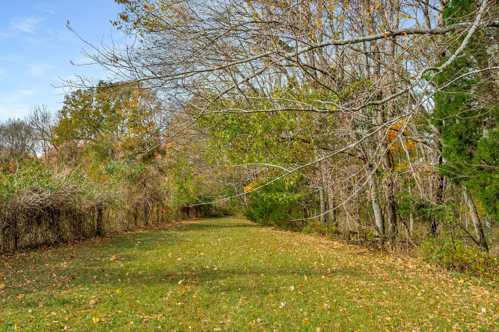 2980 Union Rd