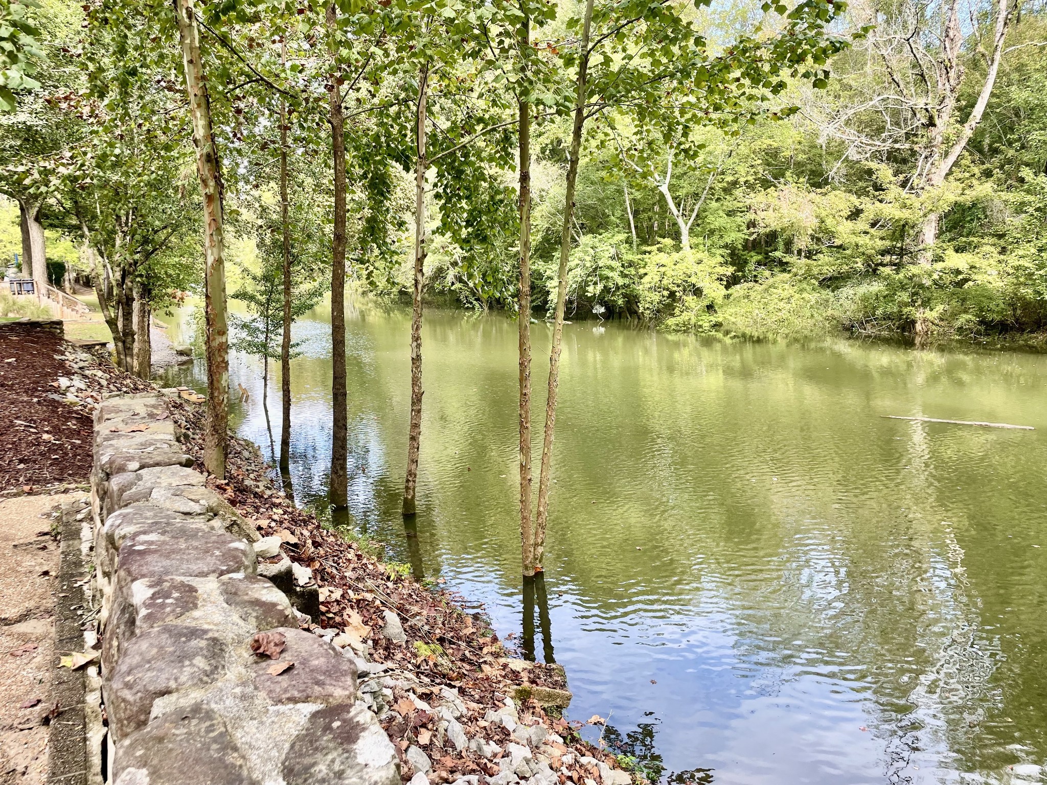 1318 Sweetens Cove Rd