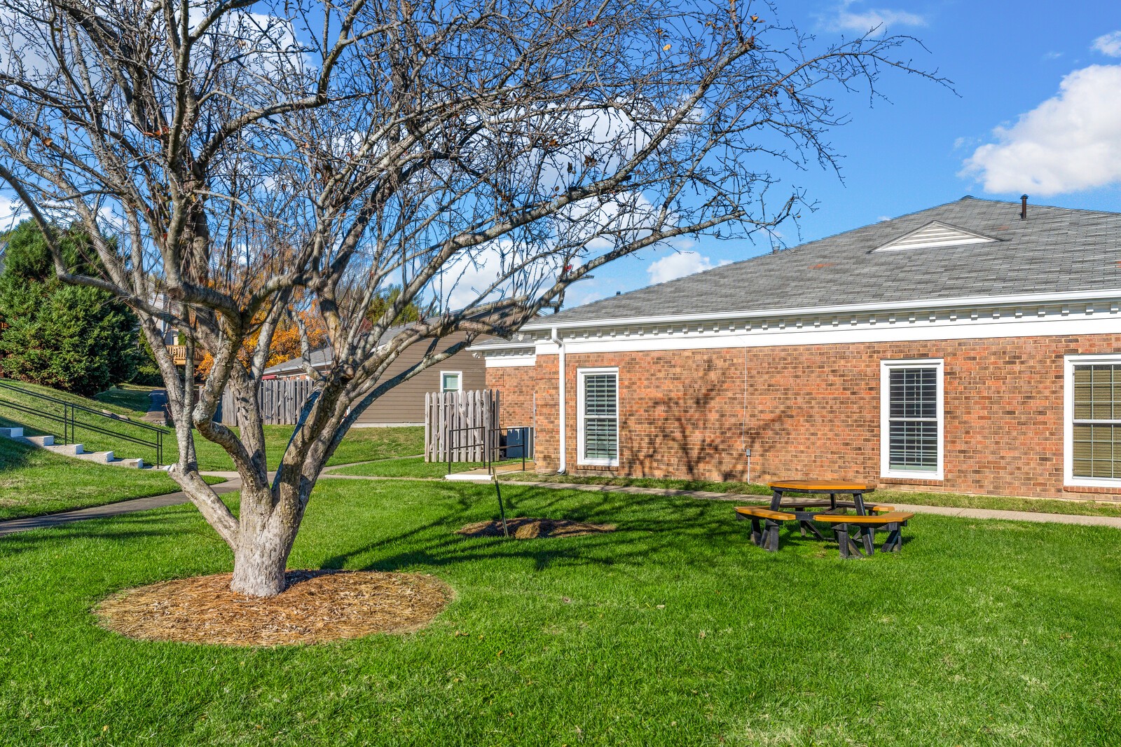 702 Mount Carmel Pl