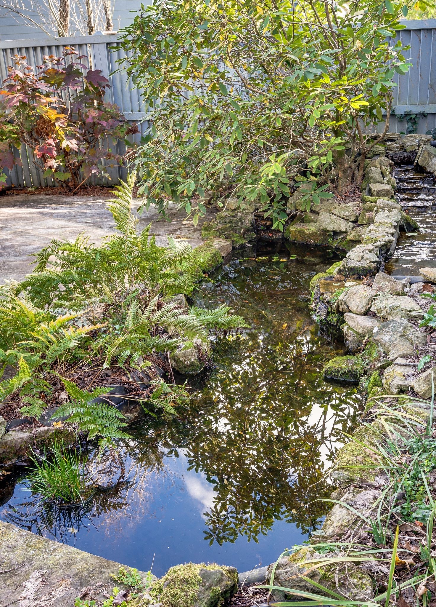 415 Belle Pointe Dr