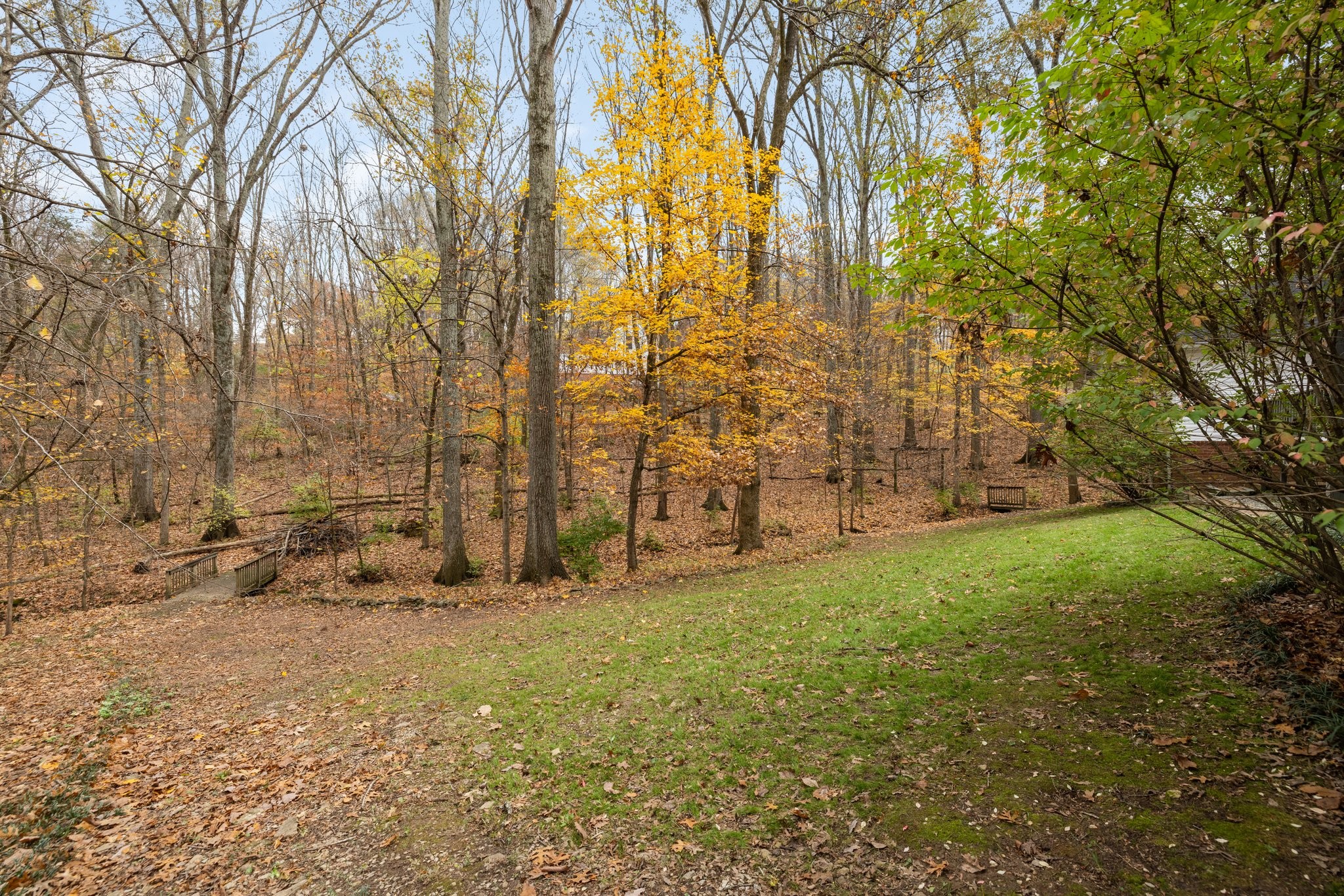 1245 Temple Ridge Dr