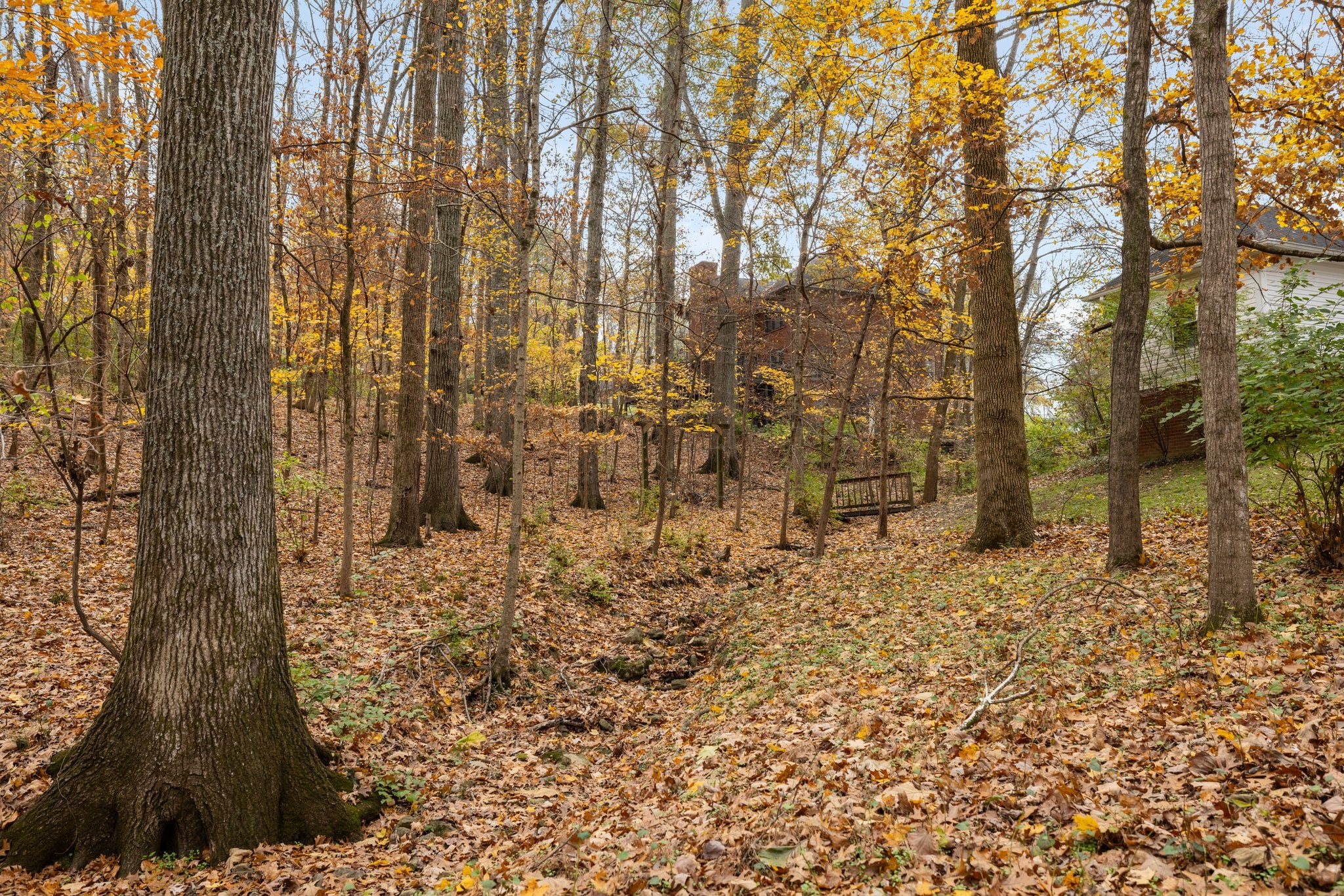 1245 Temple Ridge Dr