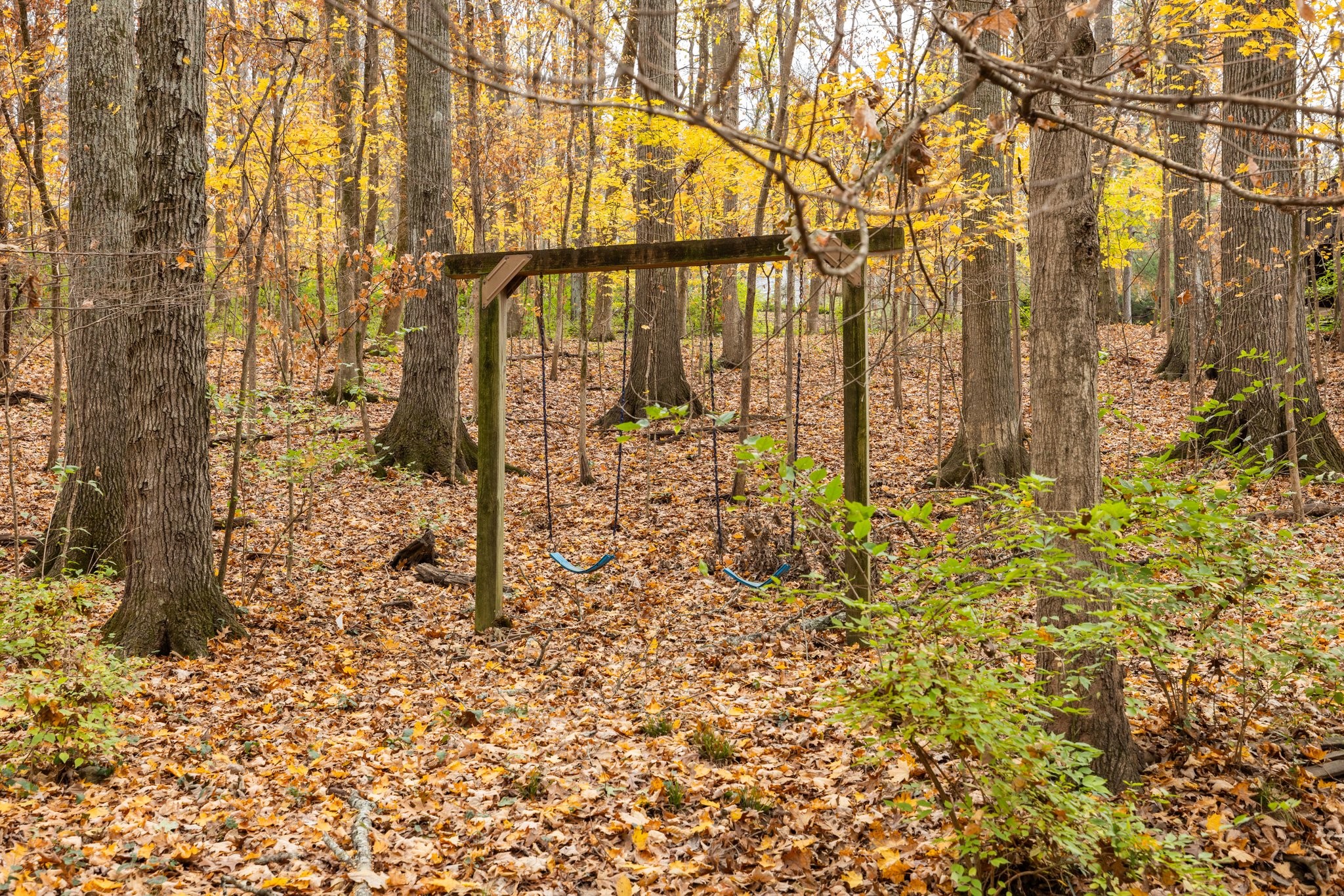 1245 Temple Ridge Dr